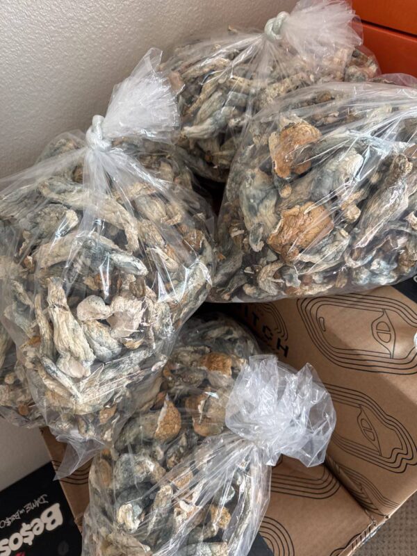 magic mushroom for sale online